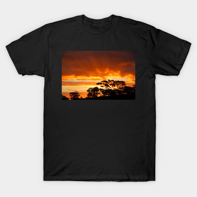 Tree Line Silhouette 2 T-Shirt by jwwallace